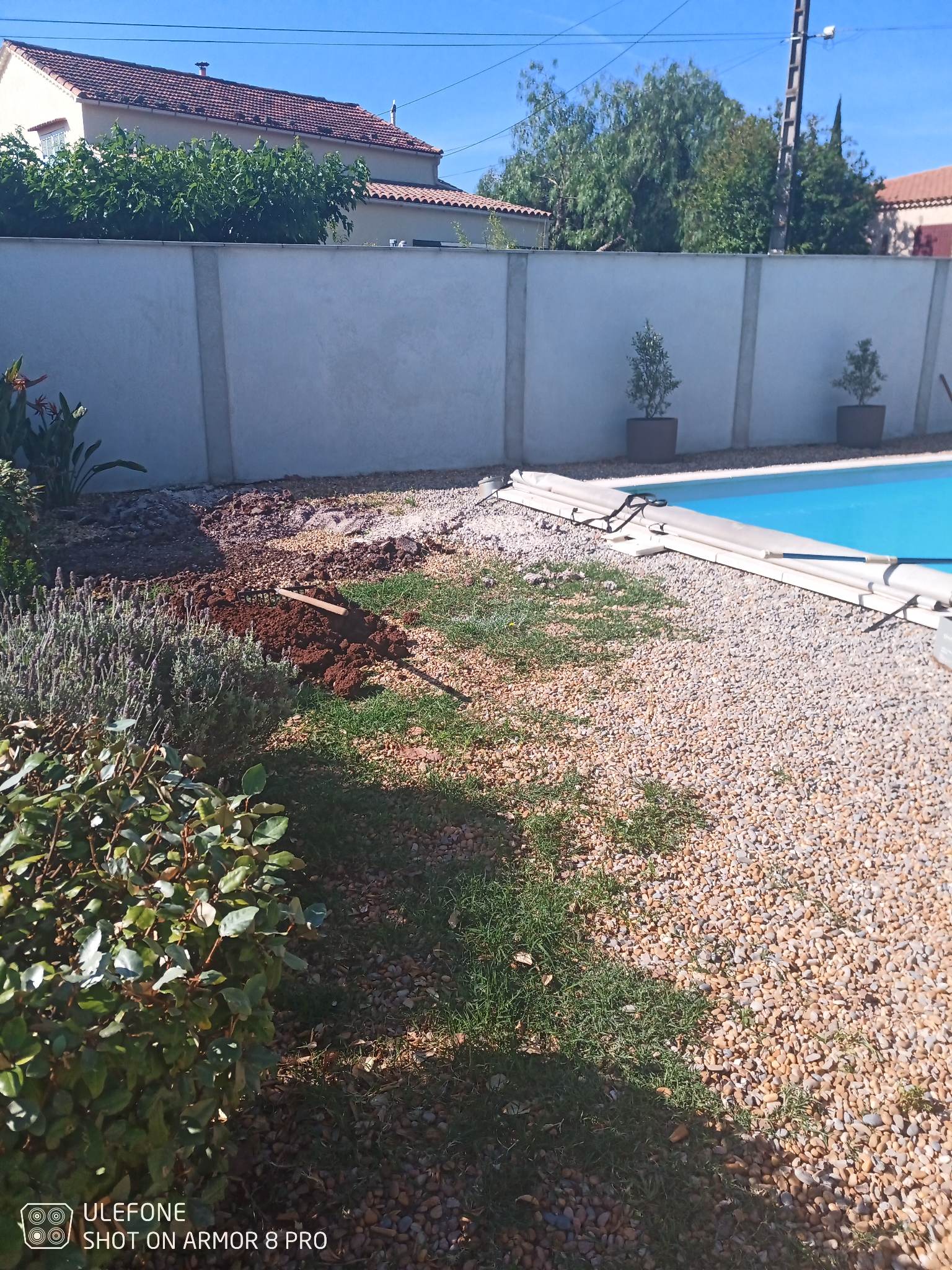 Daziano Services Jardin - Pose gazon synthétique - Sollies-Pont