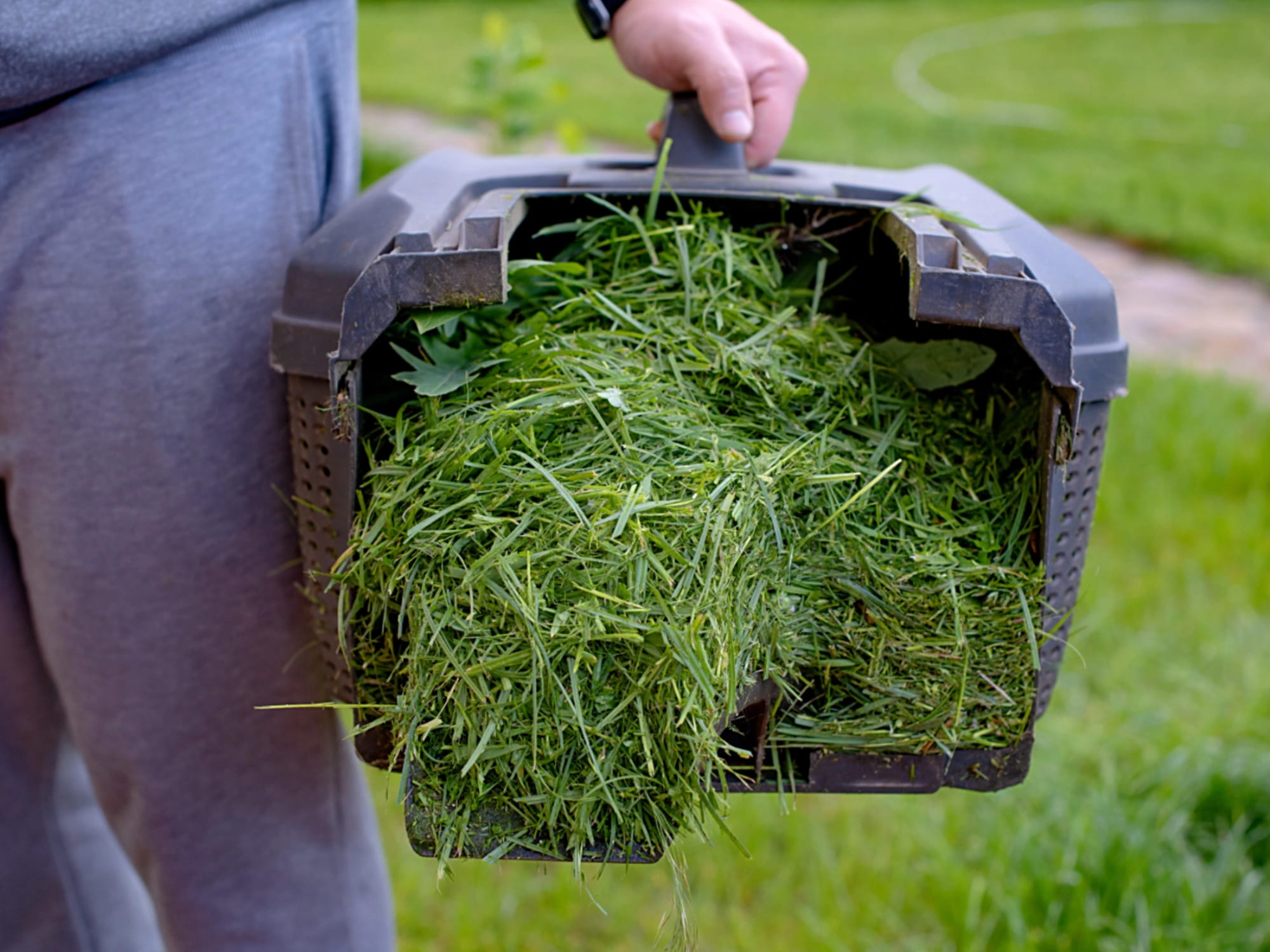 Les astuces pour un jardin impeccable