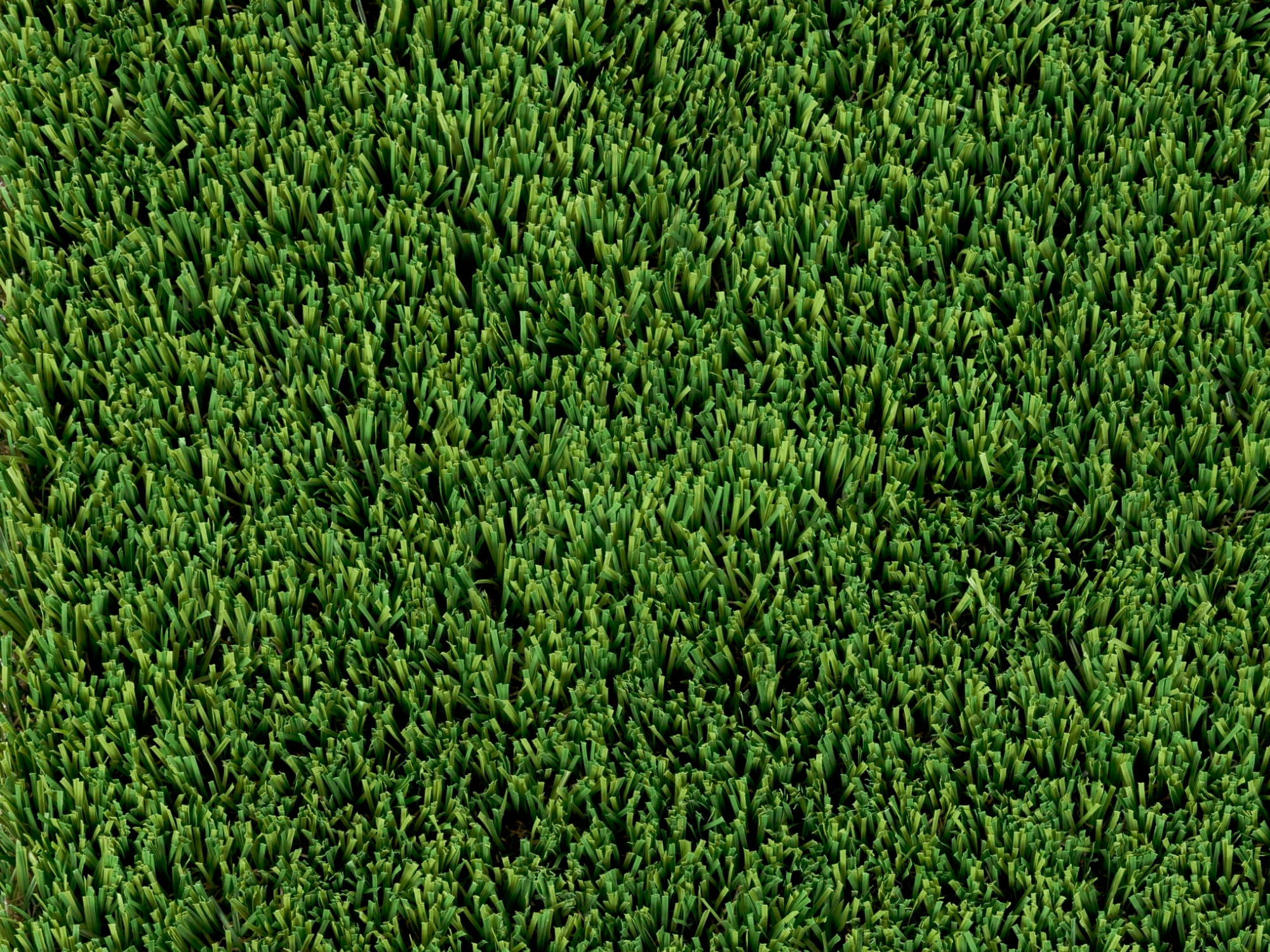 Gazon synthétique vs gazon naturel